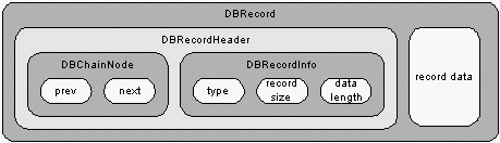Figure 3: Database Record Structure.